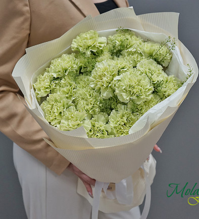 Bouquet of green carnations photo 394x433